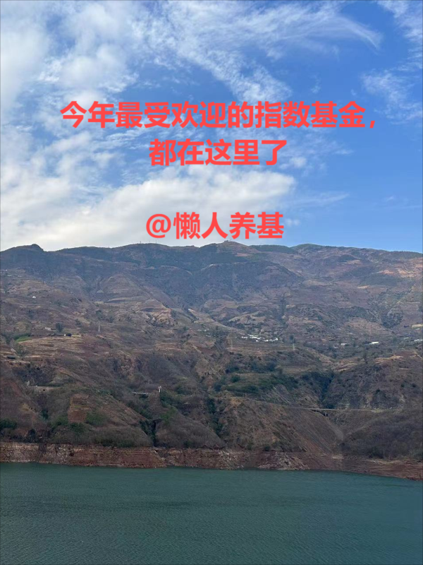 股票配资配资网站 今年最受欢迎的指数基金，都在这里了